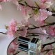 Духи Fleurs danse