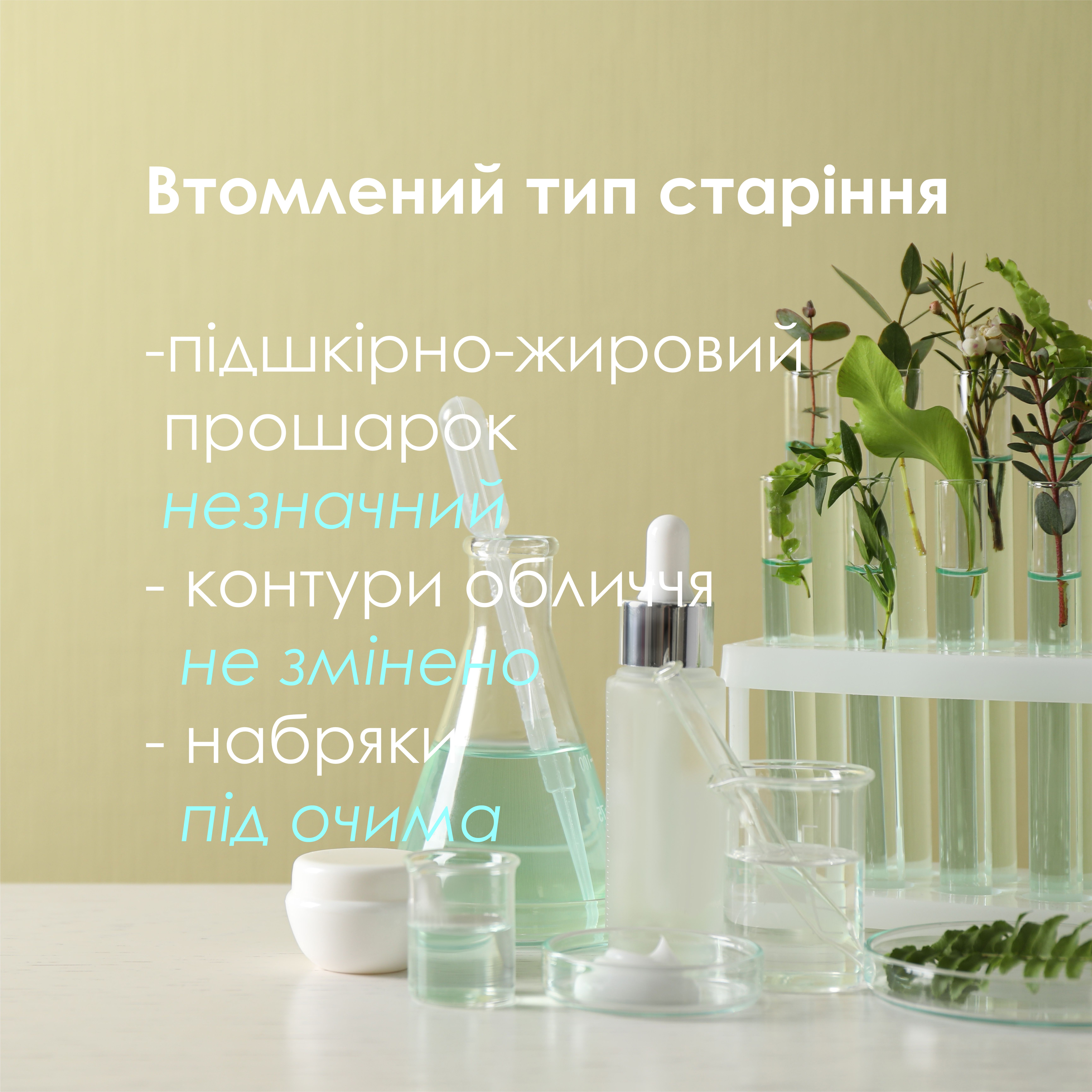 тип.jpg